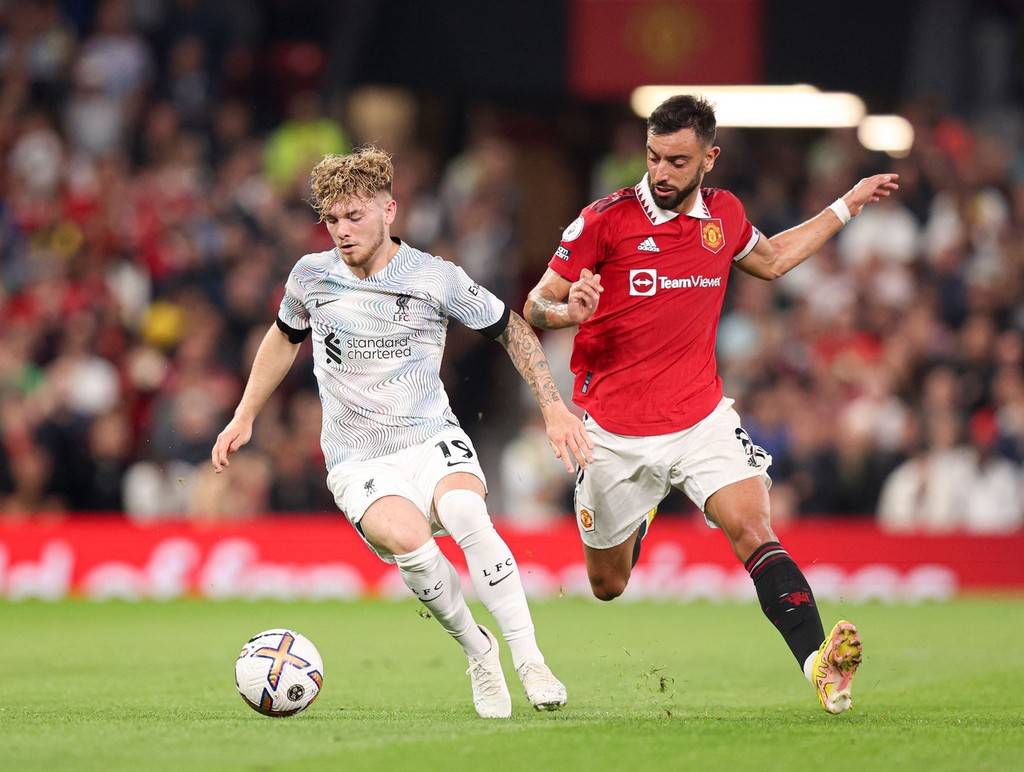 新奥尔良鹈 新奥尔良鹈