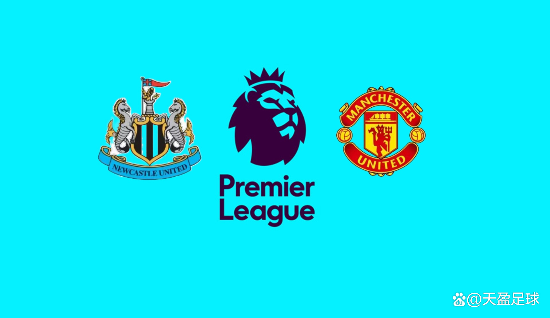 全球体育界 全球体育界