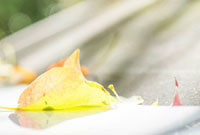 换进攻中完 换进攻中完