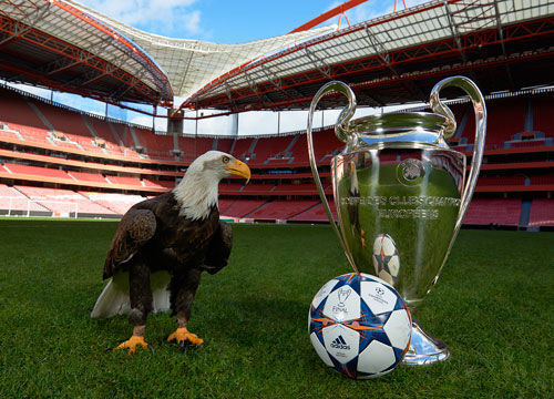 果敢自信 果敢自信