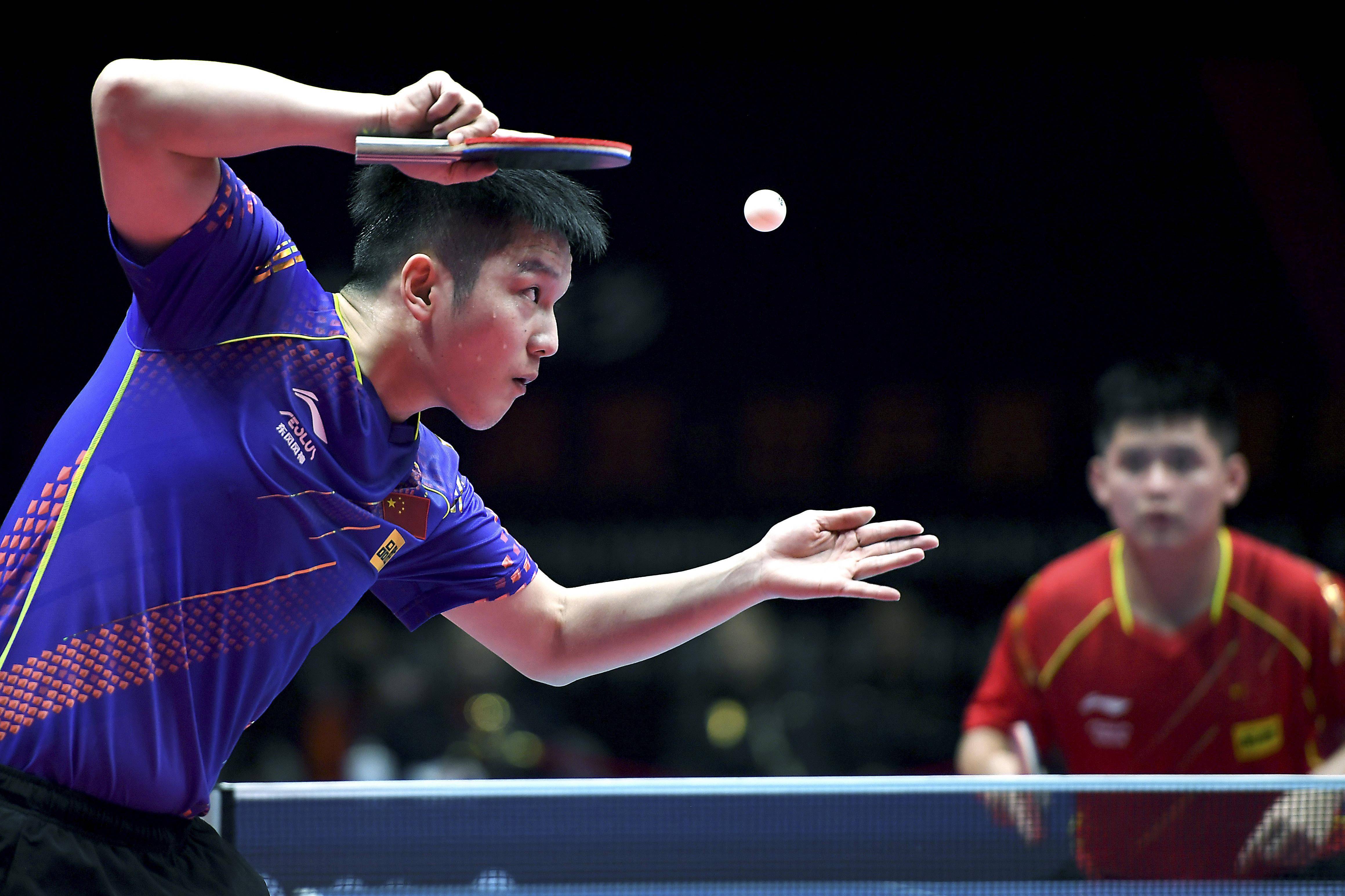 了多样化的 了多样化的