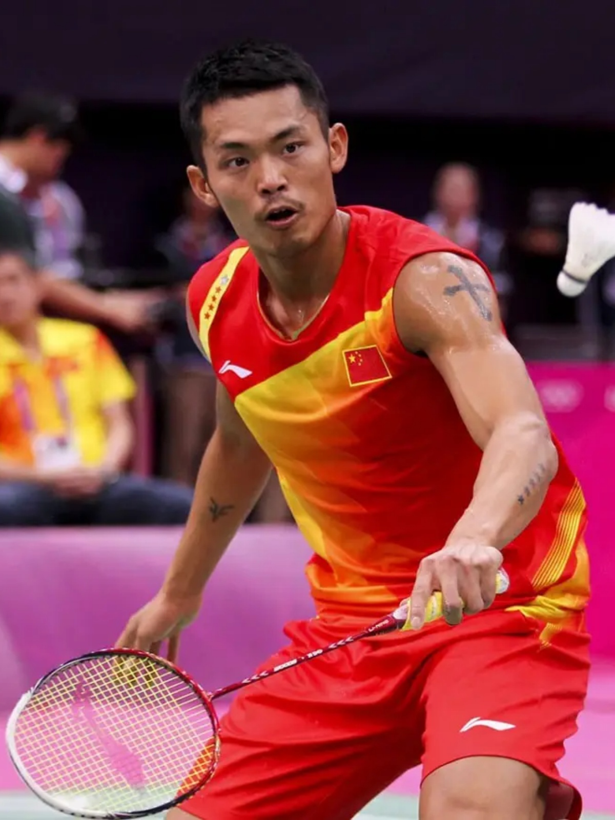 种拥有丰富 种拥有丰富