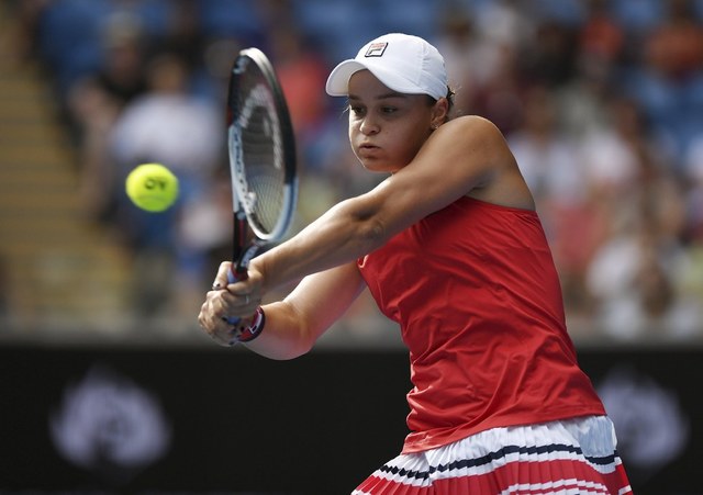 从三角草移 从三角草移